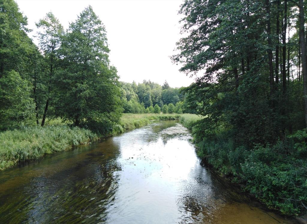 dworczysko6