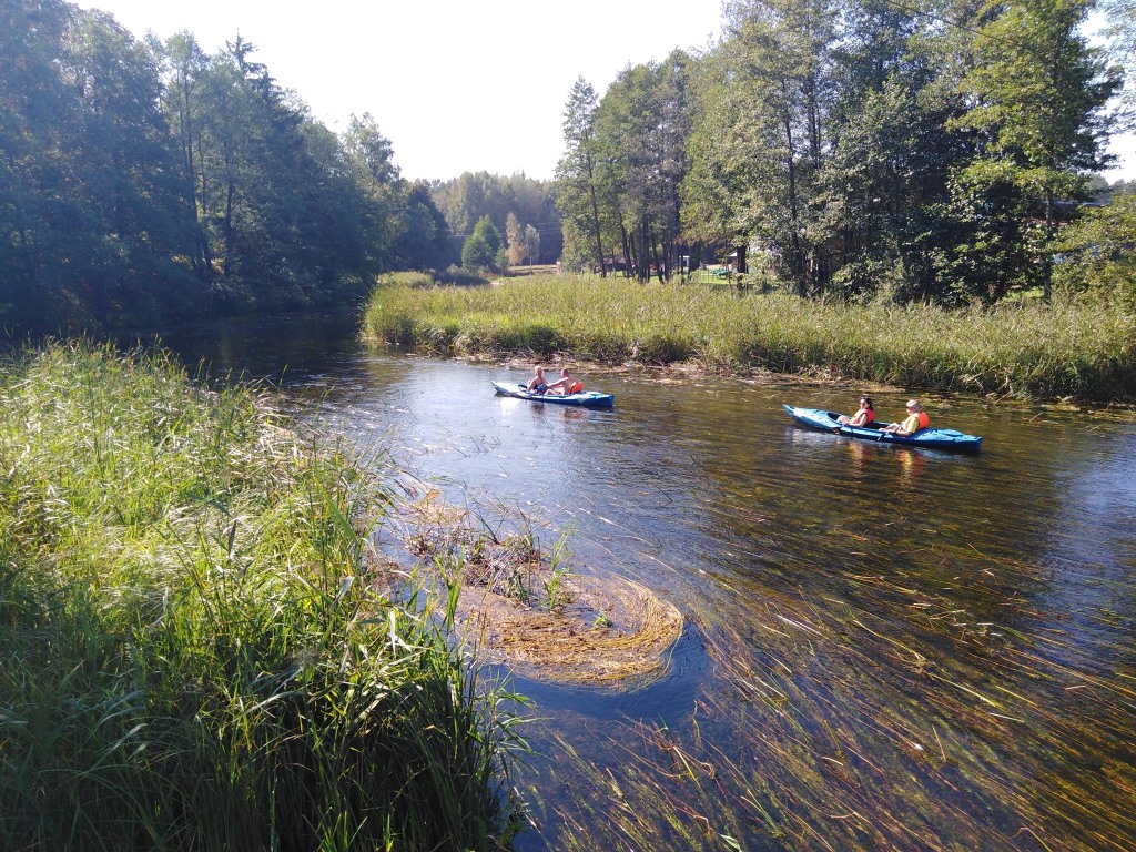 wysokimost3