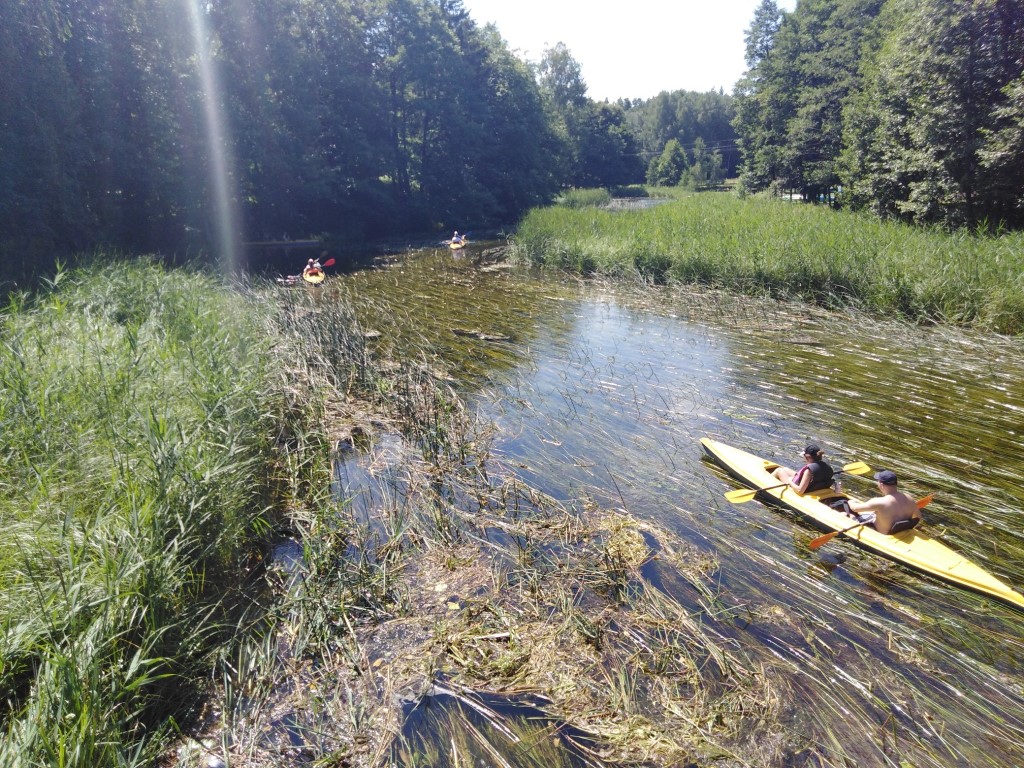 wysokimost